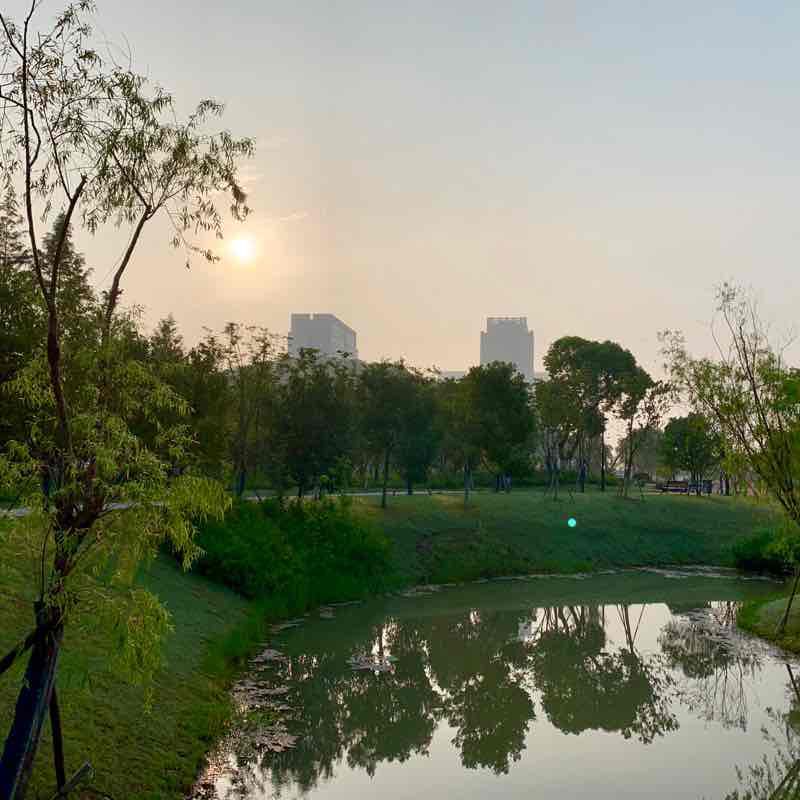 Zhoushan New District walking route map in Zhou Shan Shi