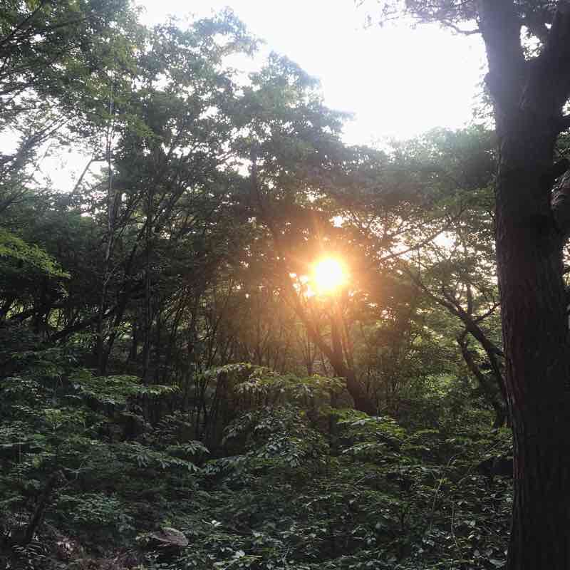 연희동 안산공원