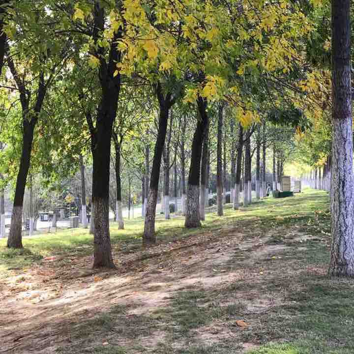 South section of Shahe (two circles in a small circle) walking route map in Luo He Shi