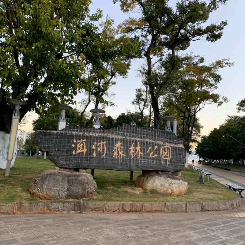 美登大桥—洱海公园