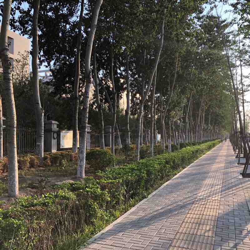 West Lake walking route map in Kai Feng Shi