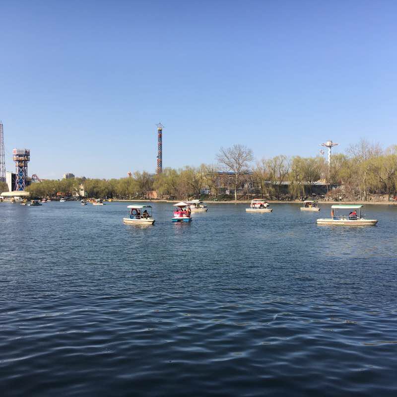 Chaoyang Park Spring Tour Walk - Chaoyang District, Beijing, China | Pacer