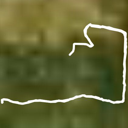 海湾国家森林公园