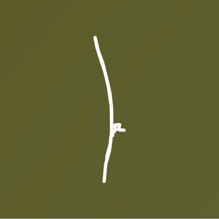 太原滨河漫道公园