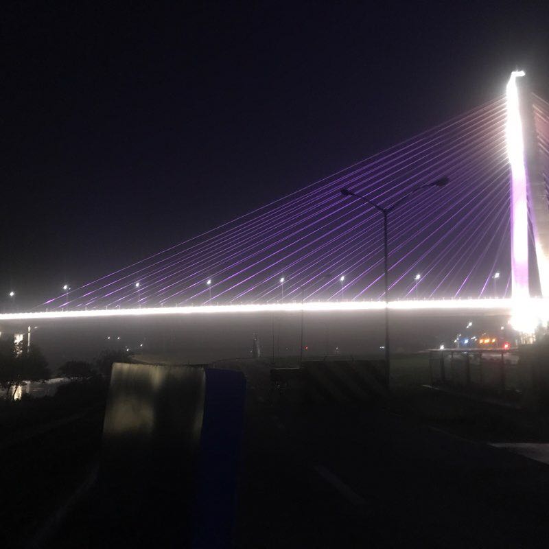 湿地公园