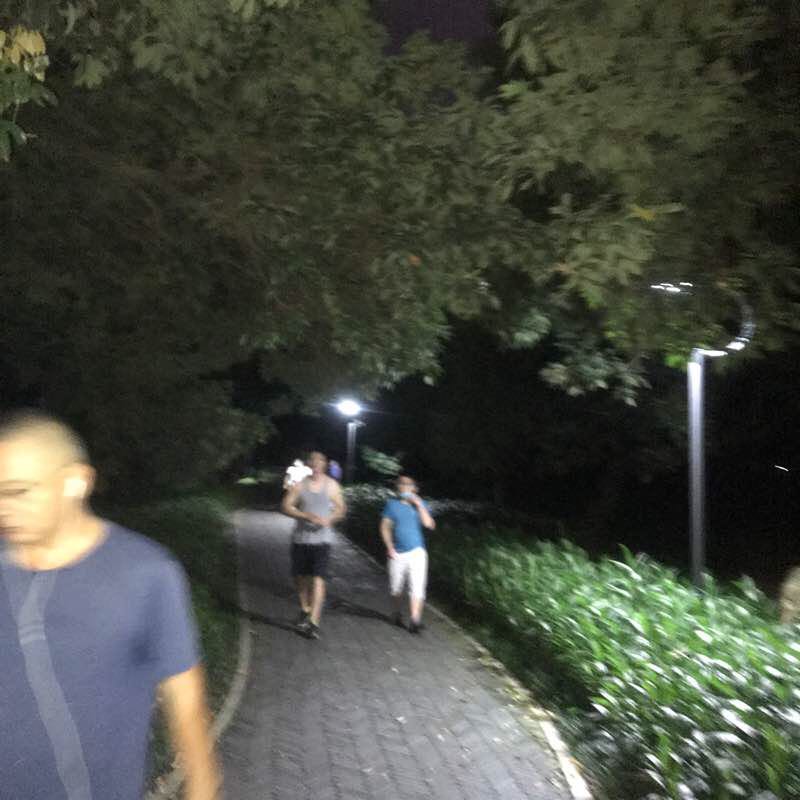 荔枝公园环山夜跑