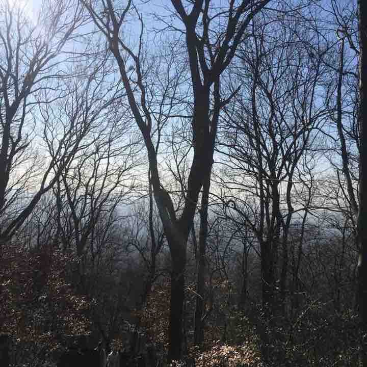 灵谷寺紫金山道路