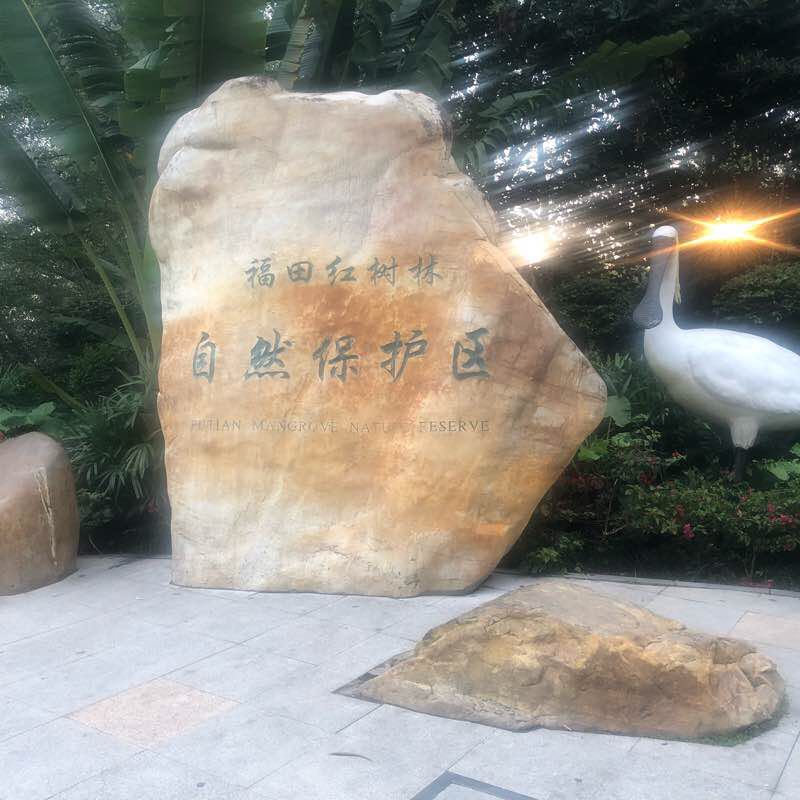 Shenzhen Bay walking route map in Shenzhen