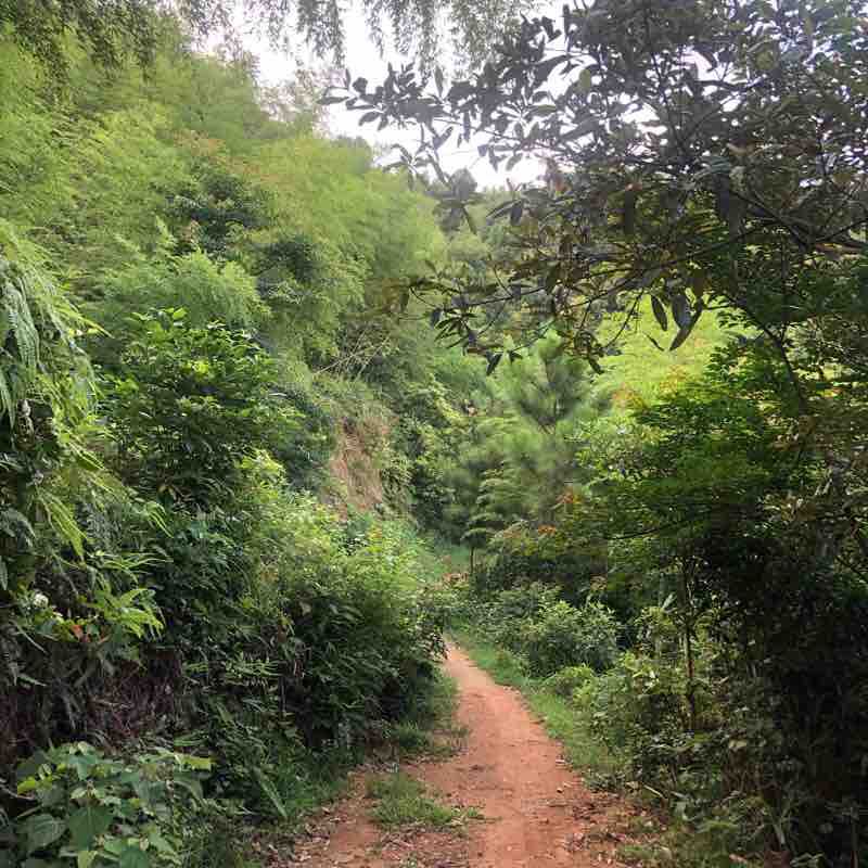 Shangsha Town walking route map in Jie Yang Shi