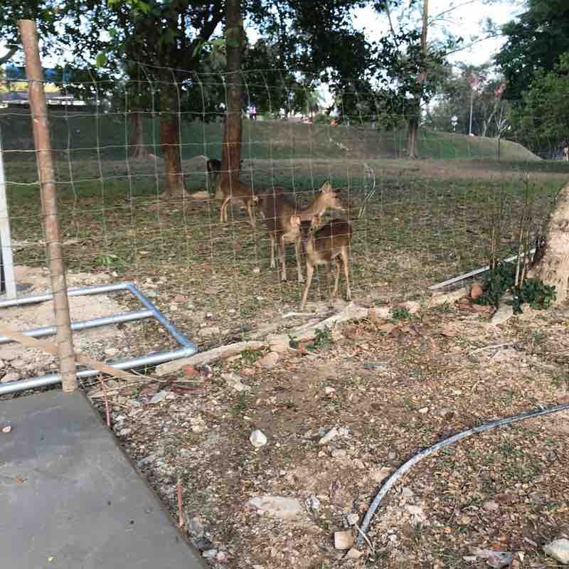 Guthrie Um walking route map in Changlun