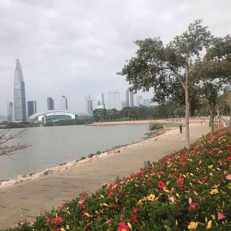 深圳湾运动公园