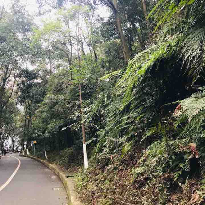 Cuiping Mountain Ring Road walking route map in Yi Bin Shi