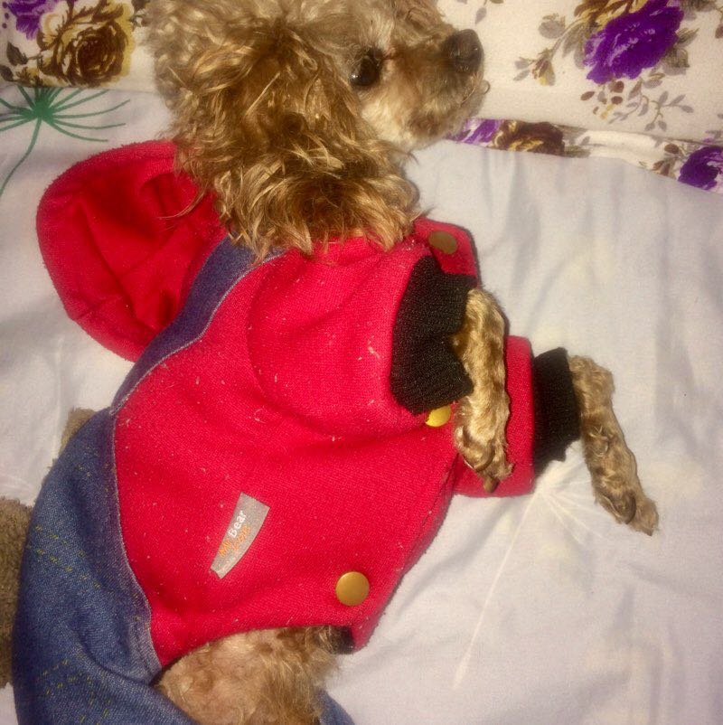 鴻鑫为自己加油💪