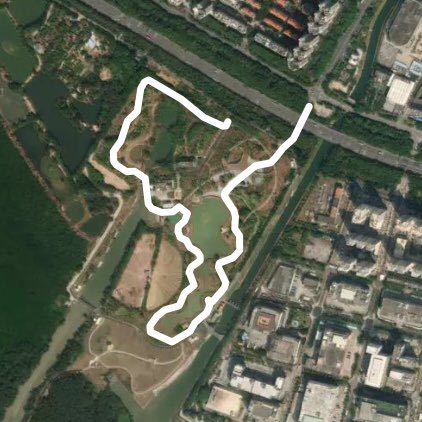 福田红树林生态