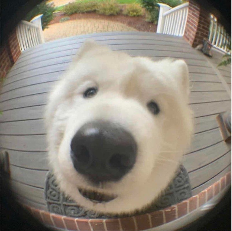 melon宋melon melon melon melon melon melon melon melon melon melon