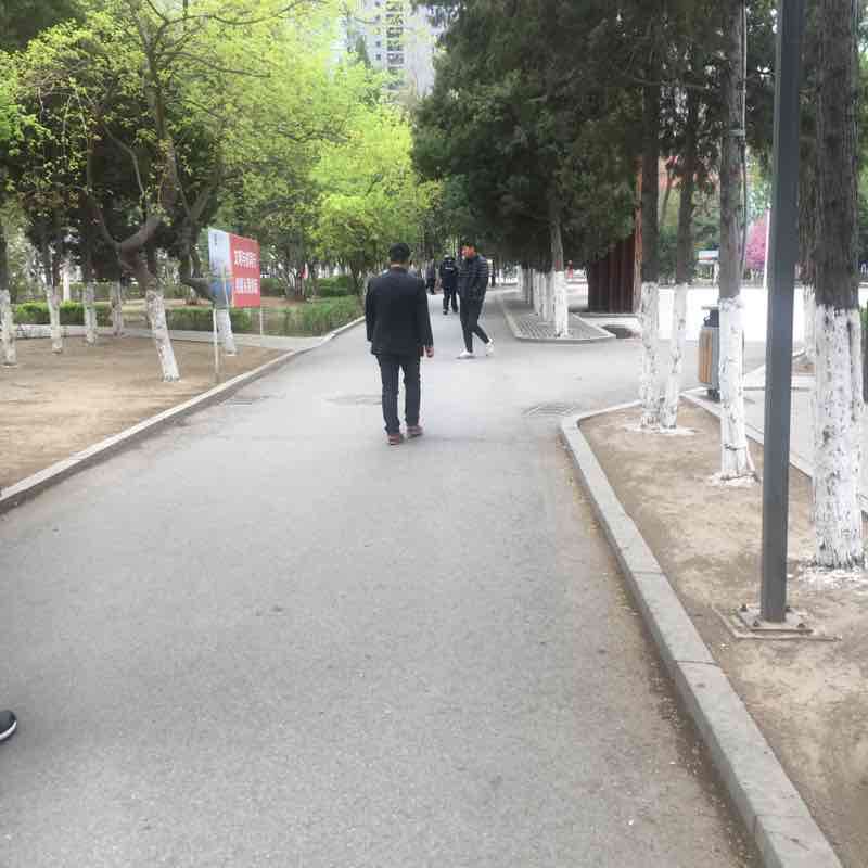 八一公园