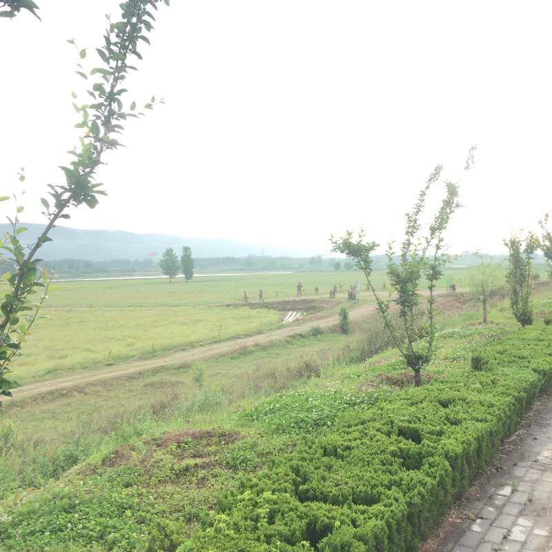 Binhe Road walking route map in Baoji