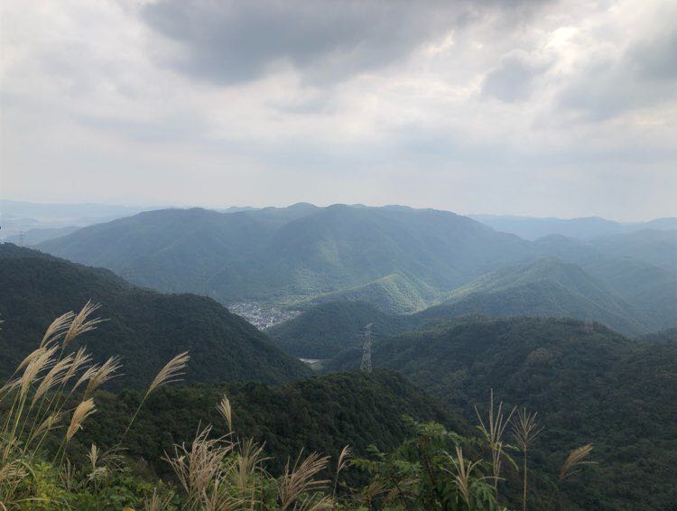 云中漫步-雨后春笋