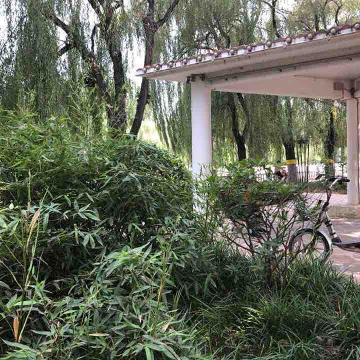 Congtai Lulian Textile Road, the middle of the river walking route map in Han Dan Shi