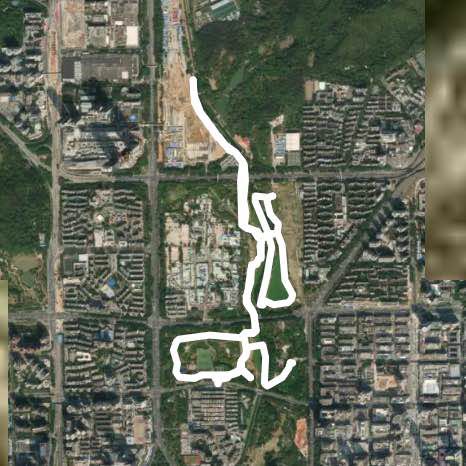 中心公园踩自行车