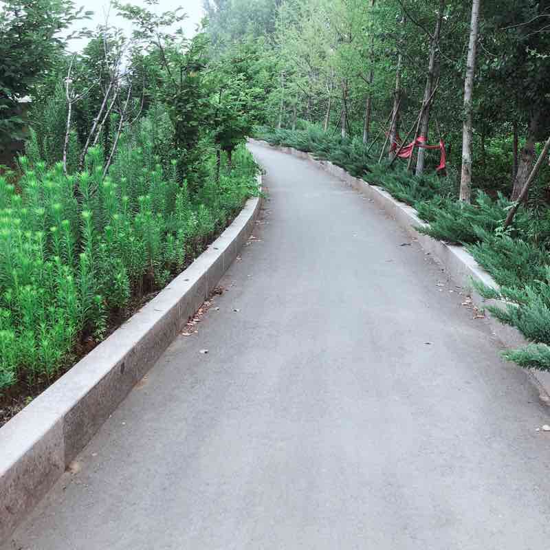 River beach walking route map in Linyi