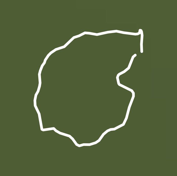 环惠丰湖绿荫跑道