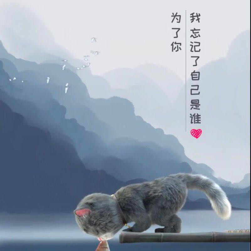 热心市民