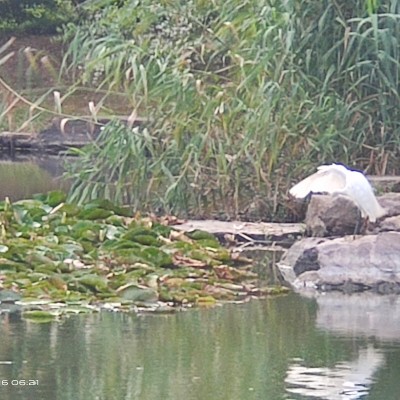 云中漫步-雨后春笋 post 2