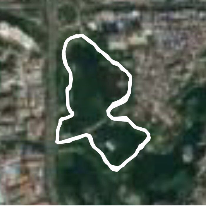 荔湾湖公园跑步