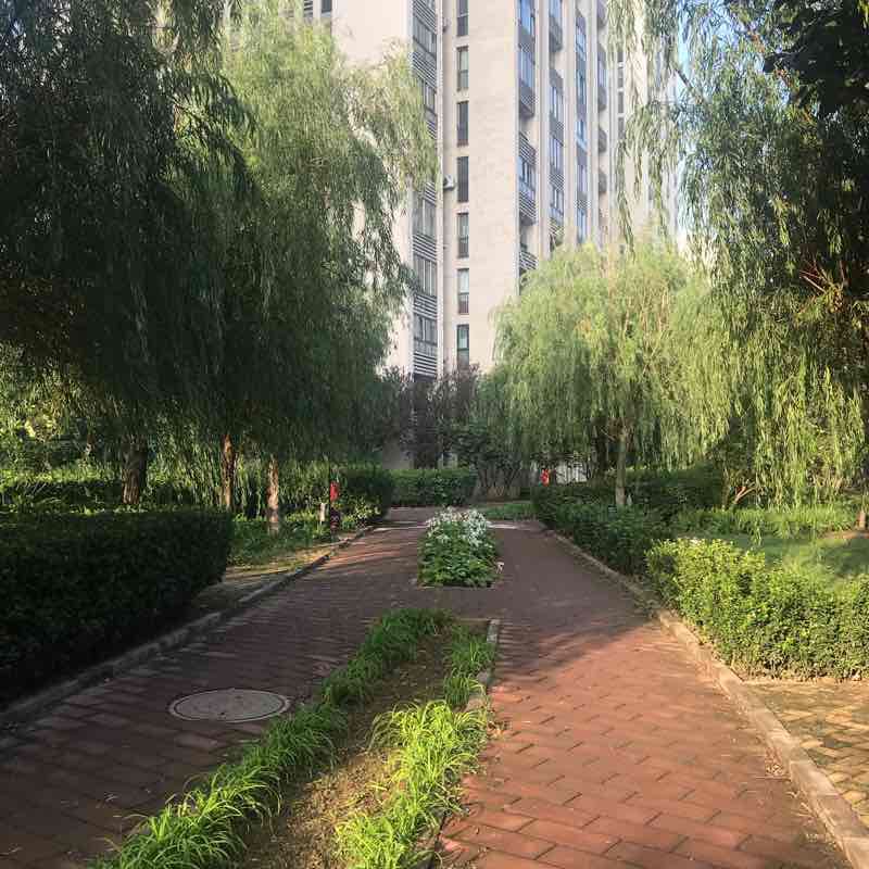 小区健身步道