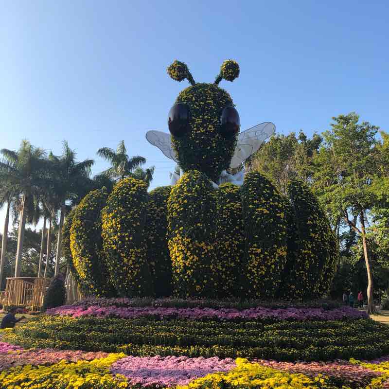 东湖公园菊花展线路