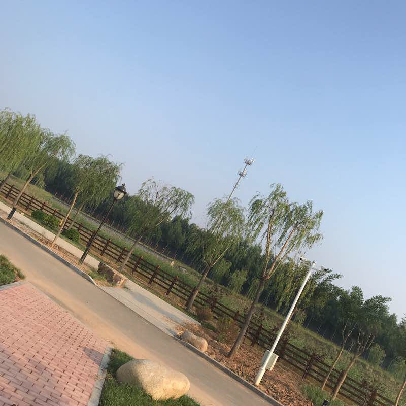 Longhua Street to Dianding Road walking route map in Cangzhou