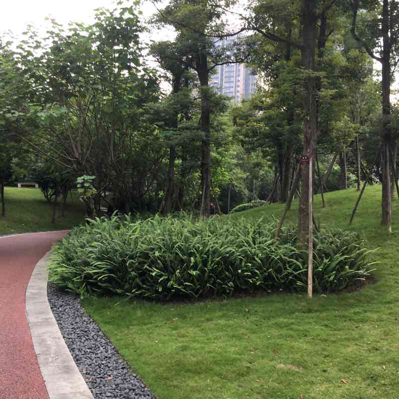 和美社区公园