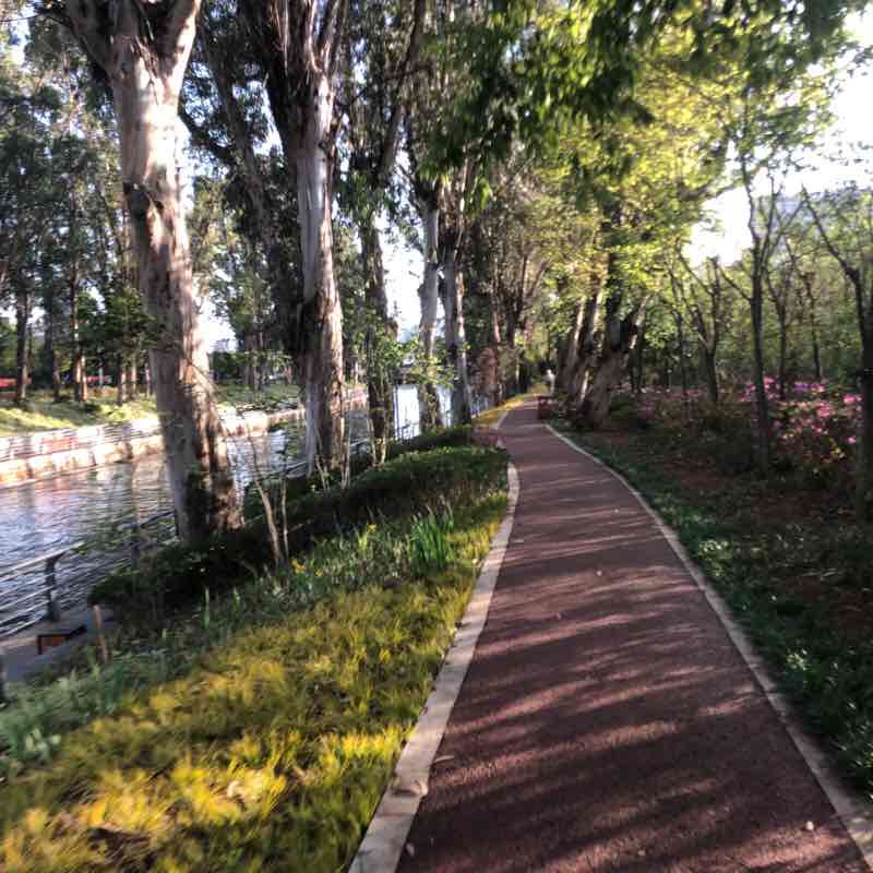 盘龙江月牙塘段