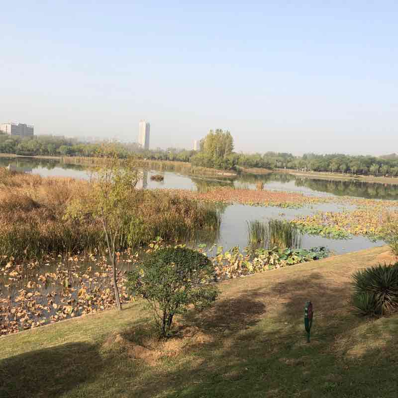 Ecological Park walking route map in Pingdingshan