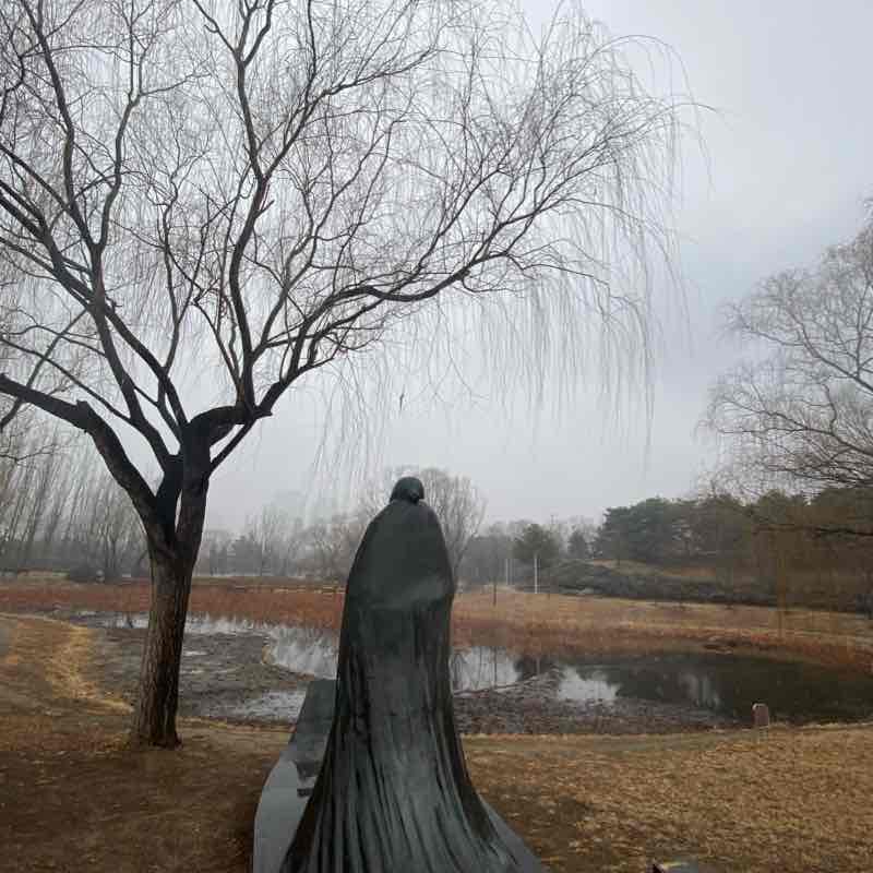 寒枝雀靜：霍亂時期的朝陽小怪物x兩週