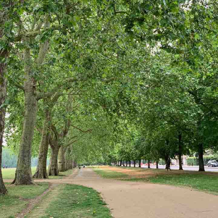 Hyde Park