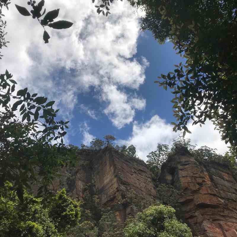 Blue Mountain walking route map in Katoomba