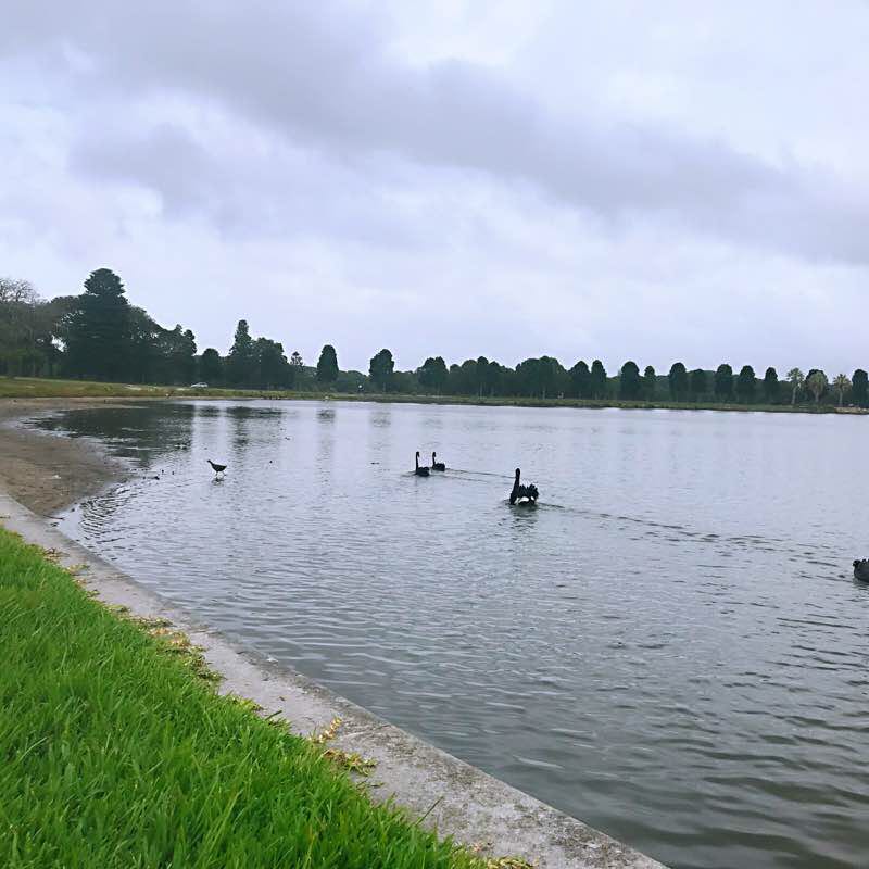 Centennial Park walking route map in Woollahra