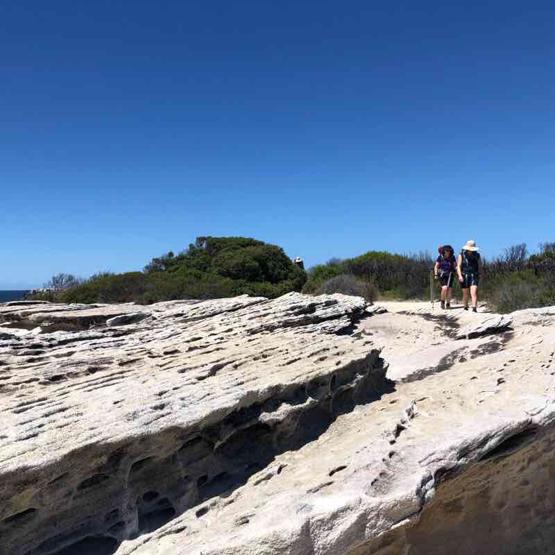 Cape Baily Track walking route map in Kurnell