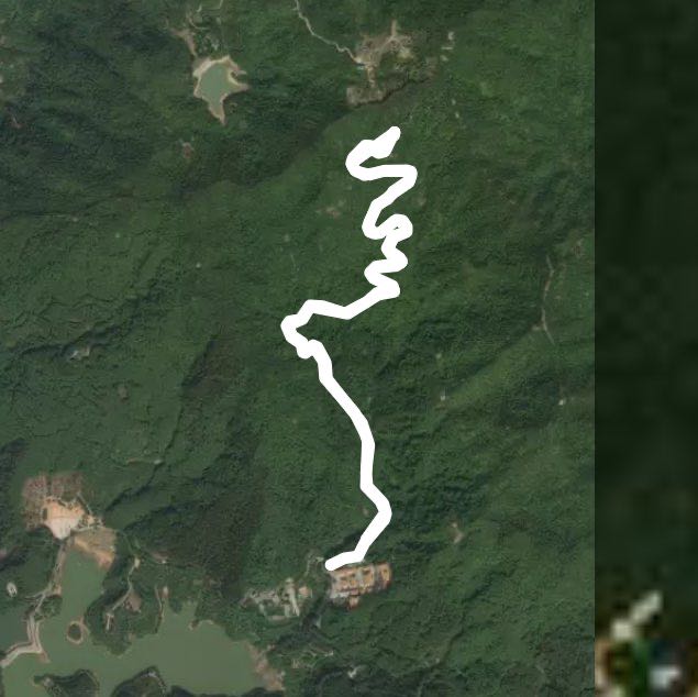 大岭山森林公园