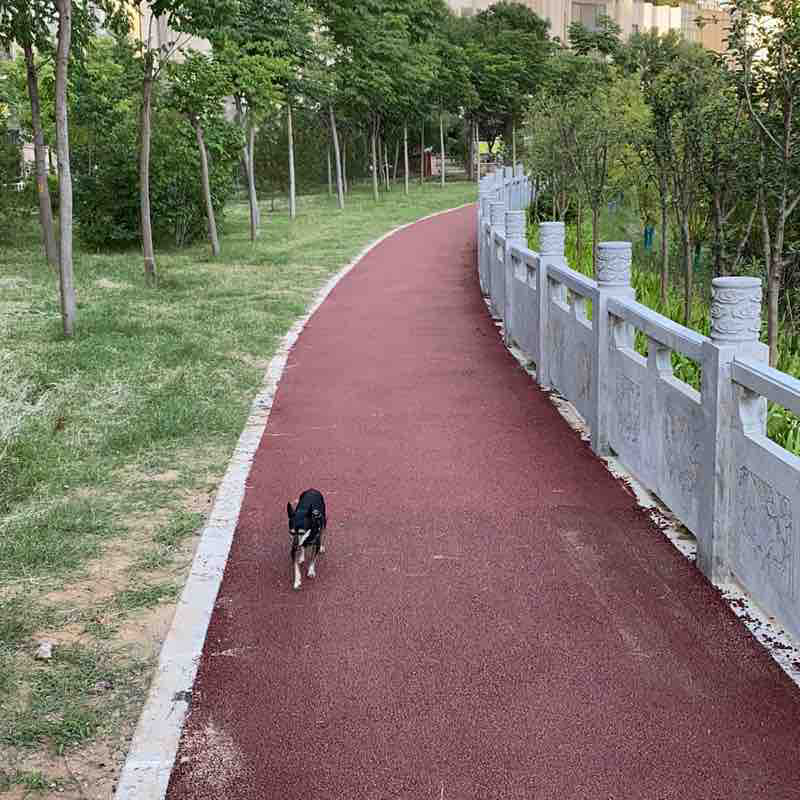 居家快步道