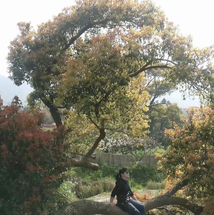 沧海(*ΦωΦ*)一粟