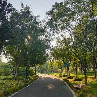 云中漫步-雨后春笋 post 2