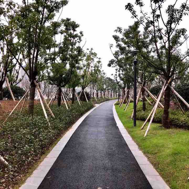 滨江观景跑步道