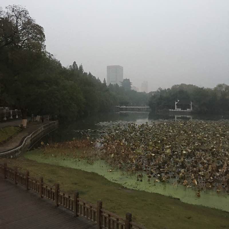 合肥包公园
