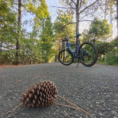 云中漫步-雨后春笋 post 3