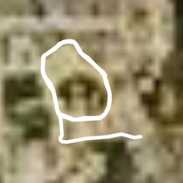 东莞市，中国跑步