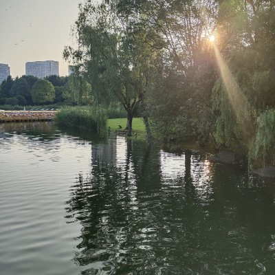 云中漫步-雨后春笋 post 3