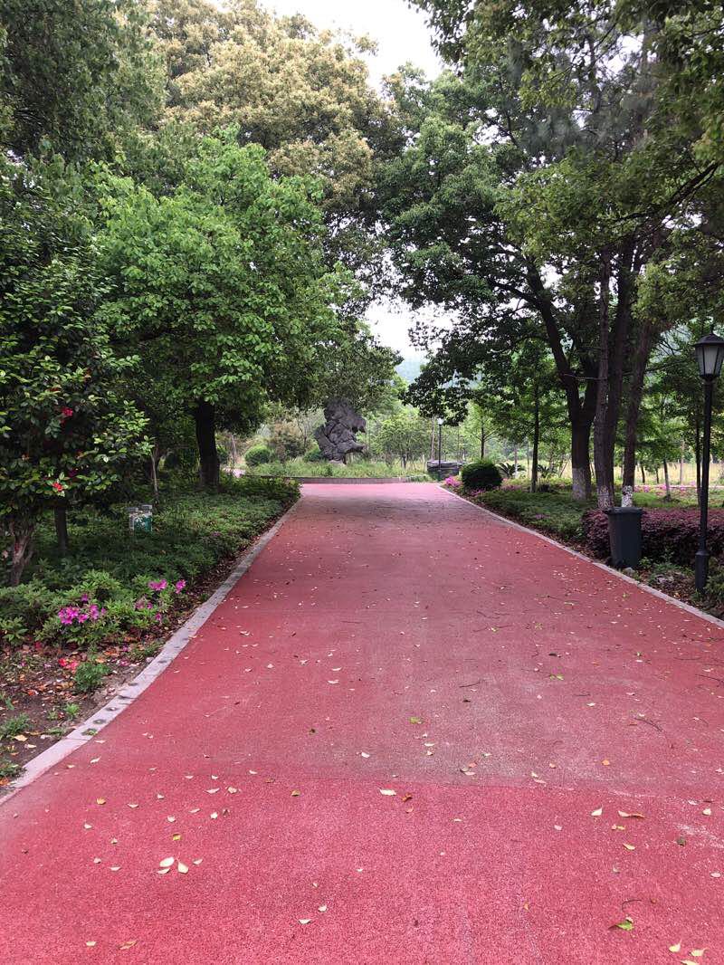 钟管公园晨练run Trail Huzhou China Pacer 钟管公园晨练run Trail Huzhou China Pacer